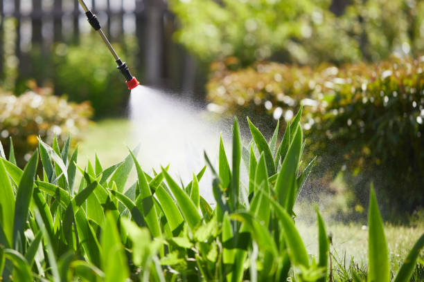 24/7 Emergency Wasp Removal experts in Brookneal, VA