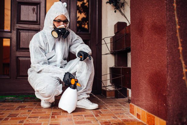 Reliable Wasp Removal contractor in Brookneal, VA by Show Me Pest Control
