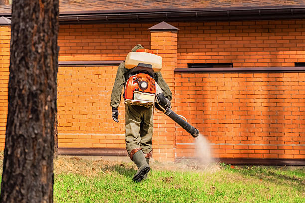 Top rated local Wasp Removal specialists in Brookneal, VA